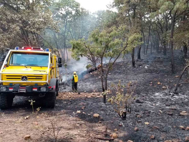Conafor combate 9 incendios forestales en 7 entidades