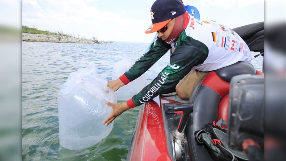 Pescadores deportivos y comerciales llevan a cabo programa de repoblamiento de Lobina en la Presa Vicente Guerrero