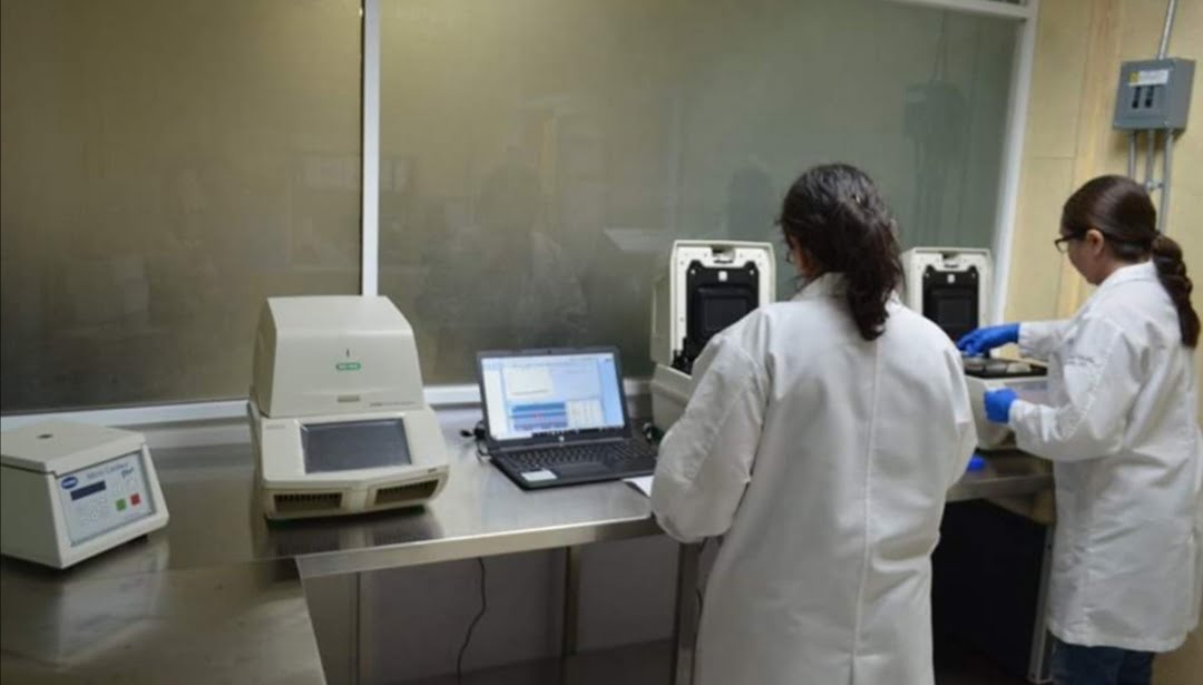 Confirman 115 nuevos casos y 11 muertes por Covid-19 en Tamaulipas