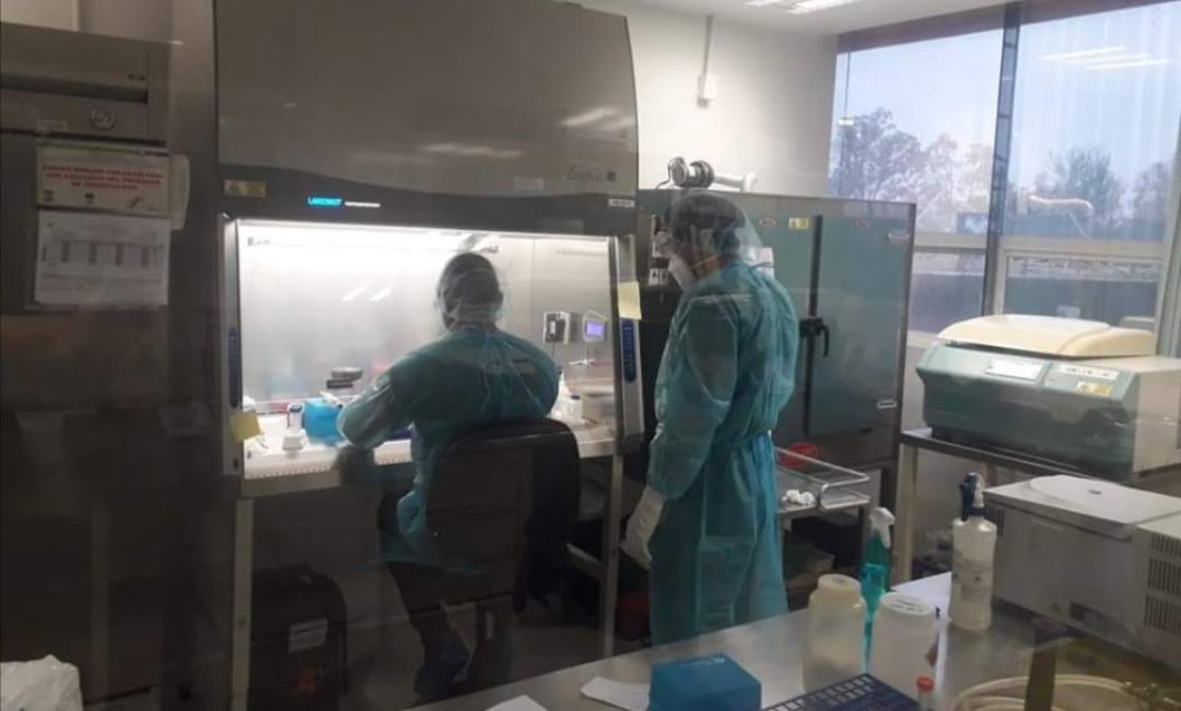Dan a conocer 135 nuevos casos y 8 fallecimientos por Covid-19 en Tamaulipas
