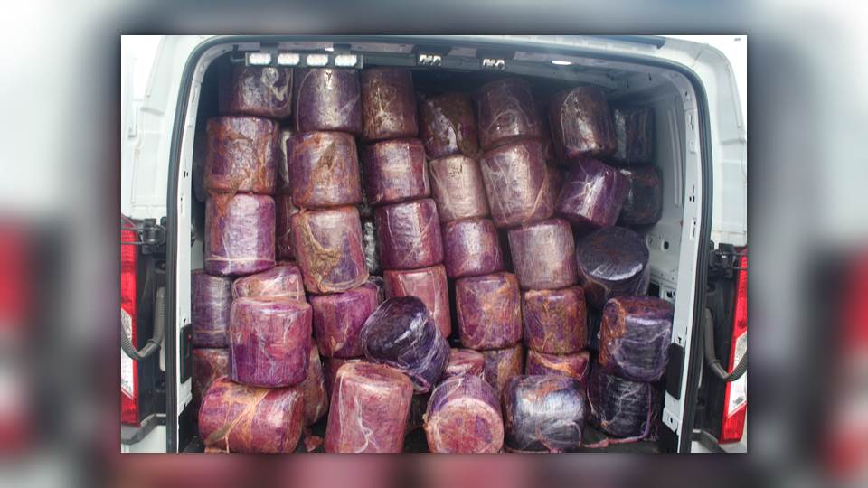 Ocultan 3 toneladas de marihuana en camión que transportaba salsa cátsup