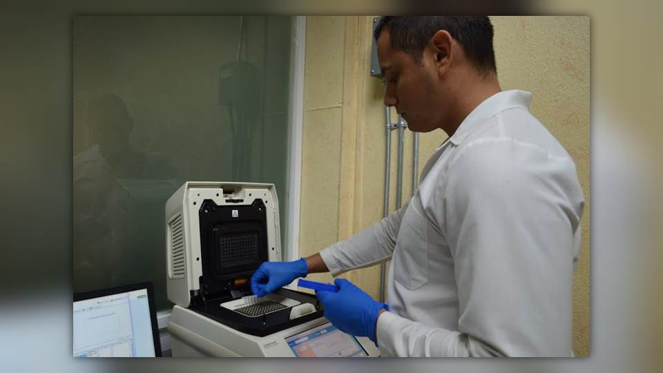Confirma Salud en Tamaulipas 330 nuevos casos y 16 muertes más por Covid-19