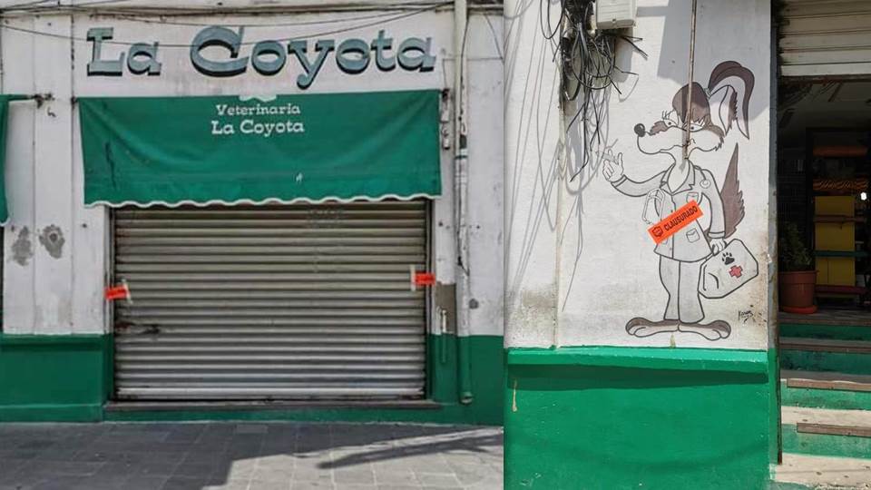 Clausuran veterinaria en Tampico, por maltrato animal y condiciones insalubres