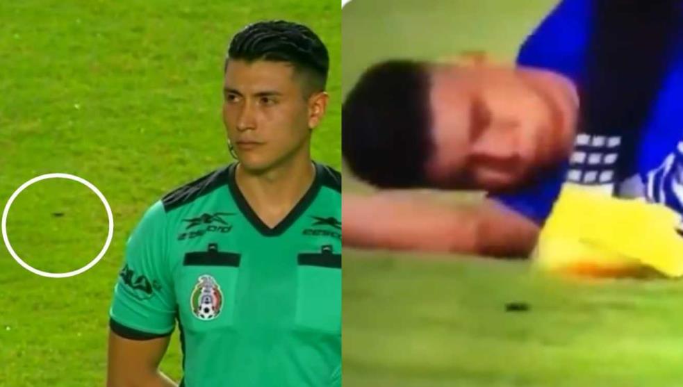 Cucarachas protagonizan partido en el nuevo estadio del Club Mazatlán