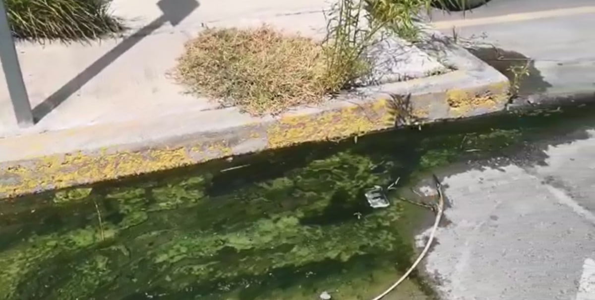 Denuncian mal olor y maleza en Centro de Salud de Nuevo Laredo