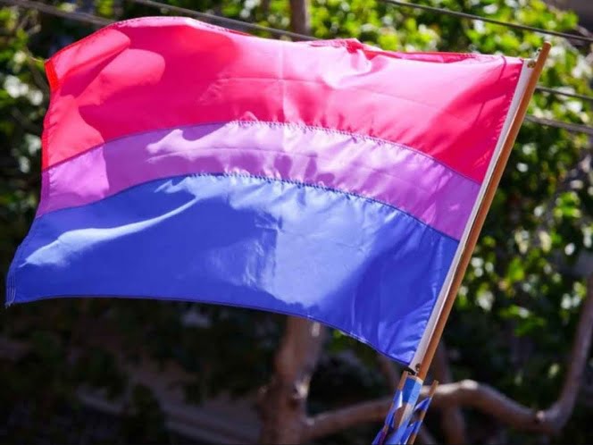 Hoy es Día de la Bisexualidad ¿Qué significa su bandera?