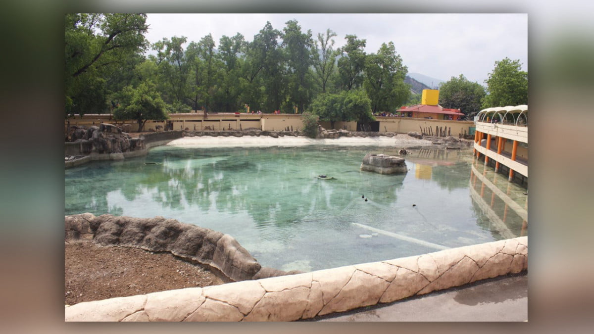 Zoológico y parques listos para su próxima reapertura