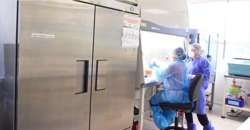 Dan a conocer 247 nuevos casos y 23 defunciones más por Covid-19 en Tamaulipas
