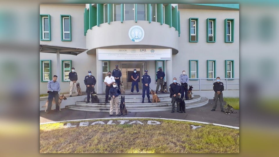 Reciben capacitación Binomios Caninos de la Fiscalía General de Justicia de Tamaulipas