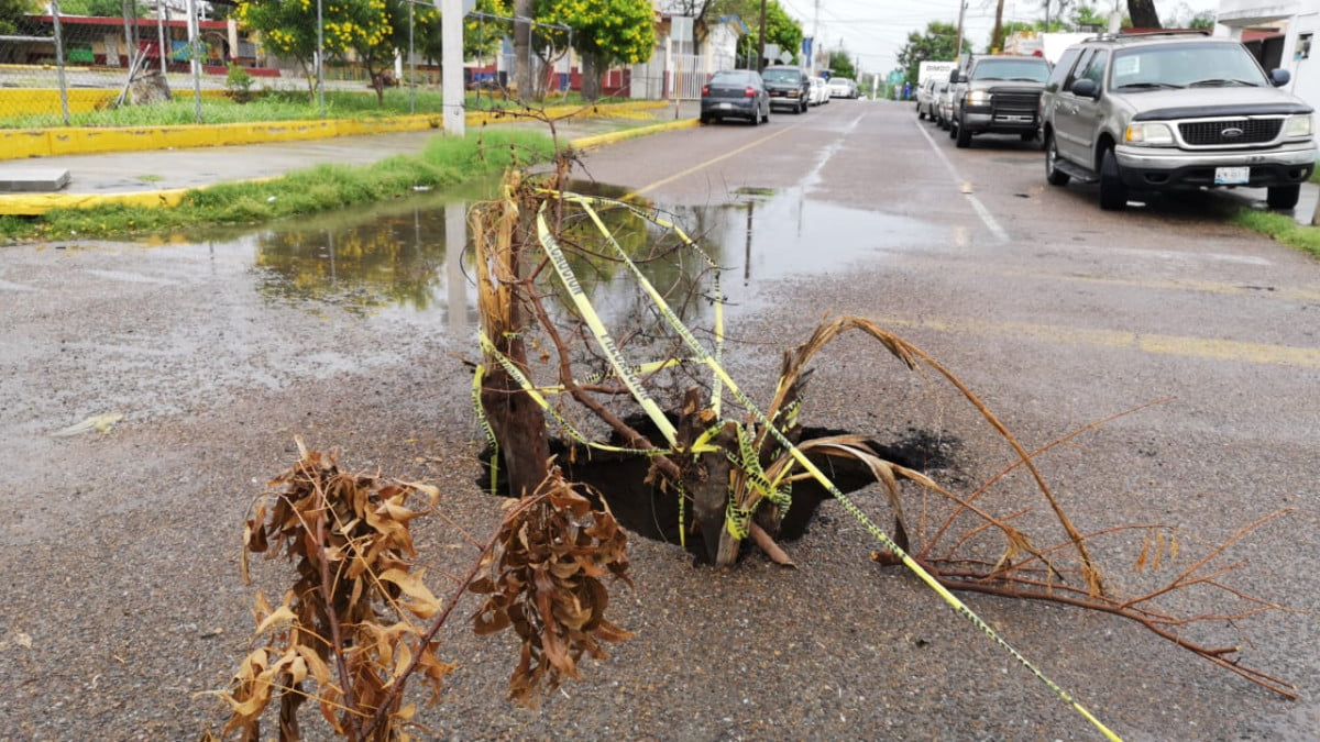 A falta de señalamiento, colocan tronco en hundimiento para evitar accidentes en Nuevo Laredo