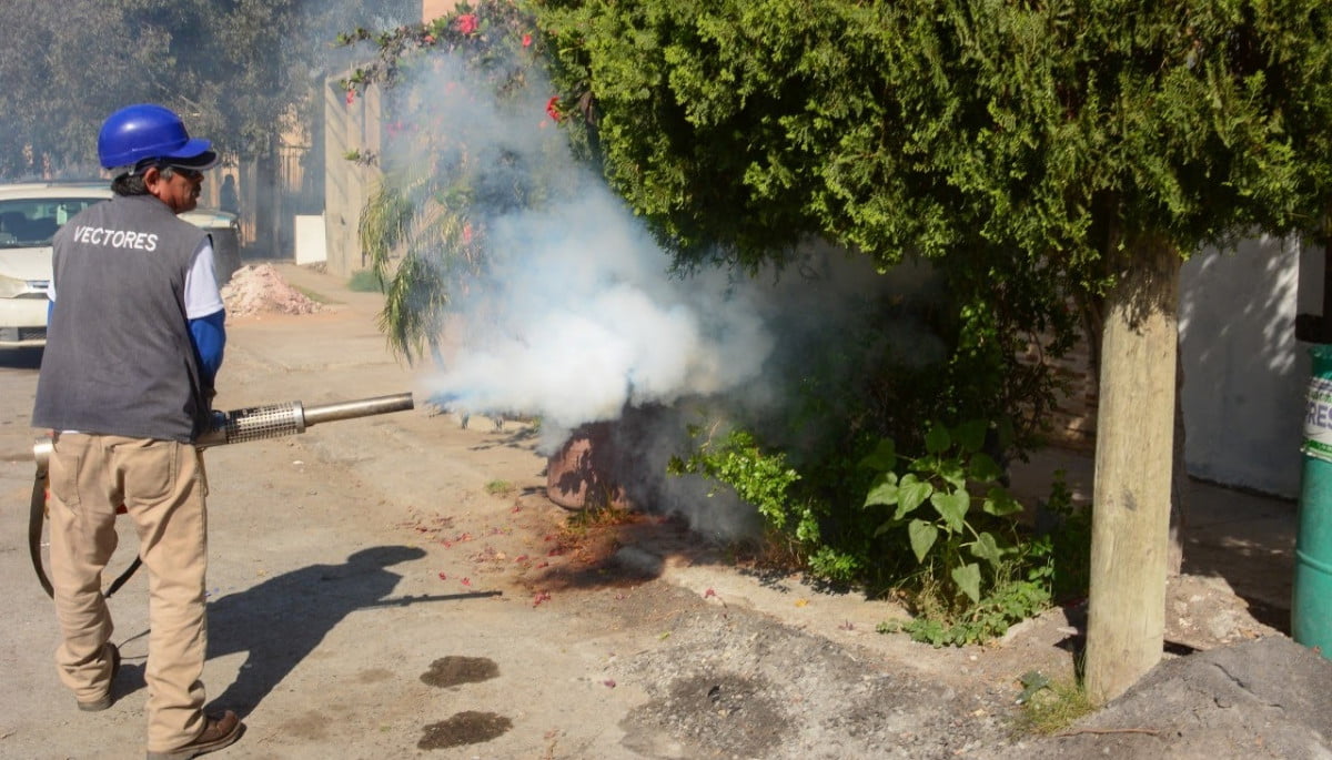 Nuevo Laredo en riesgo de ‘covidengue’; Confirman 7 casos positivos de dengue clásico