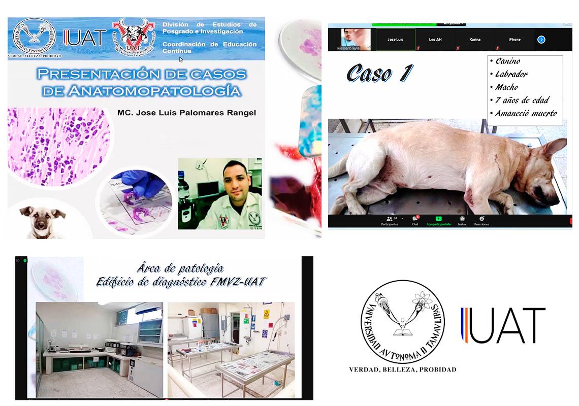 Imparte UAT temas sobre patologías en animales domésticos