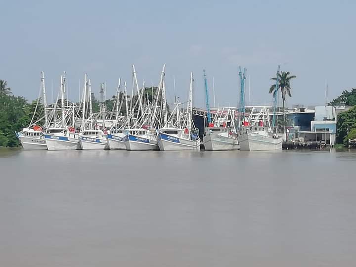Zarpan los primeros barcos camaroneros hacia altamar; se espera que mañana salga otra flotilla