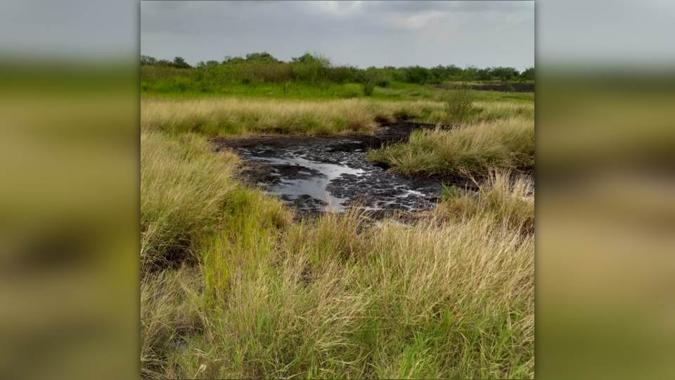 PEMEX es demandado ante SEMARNAT por fuga de hidrocarburo en ejido de Altamira