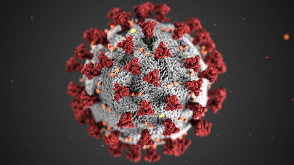 ¿Qué significa que el virus del covid haya mutado? Esto tienes que saber