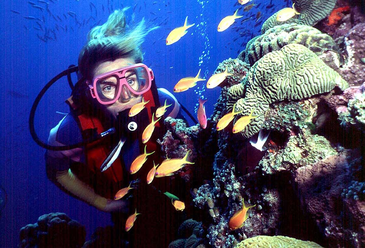La Gran Barrera de Coral pierde la mitad de sus corales