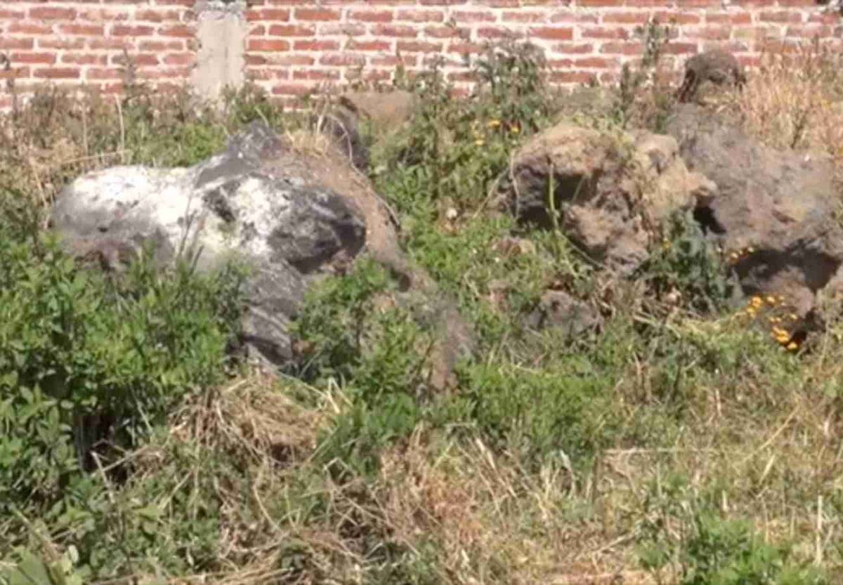 Buscaban fosas clandestinas; encontraron osamentas prehispánicas
