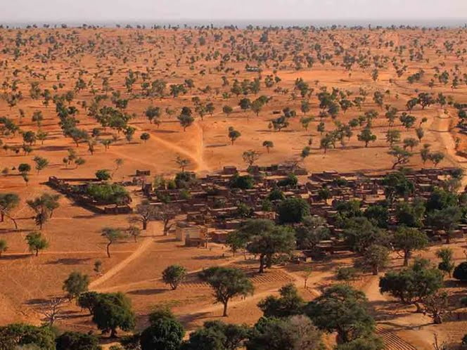 Descubren algo insólito en el desierto del Sahara