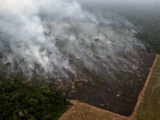 Denuncian a corporativos que ‘apadrinan’ la destrucción de la Amazonia