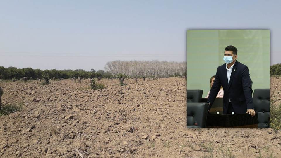 Extinción de fideicomisos también afectará al campo de Altamira