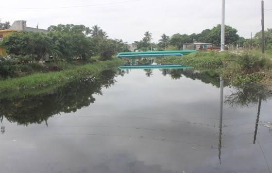 Ayuntamiento de Ciudad Madero tiene los permisos pero no el dinero para reubicar cocodrilos