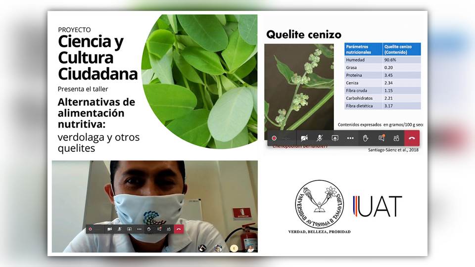 Destacan investigadores de la UAT importancia de la alimentación a base de verduras alternativas