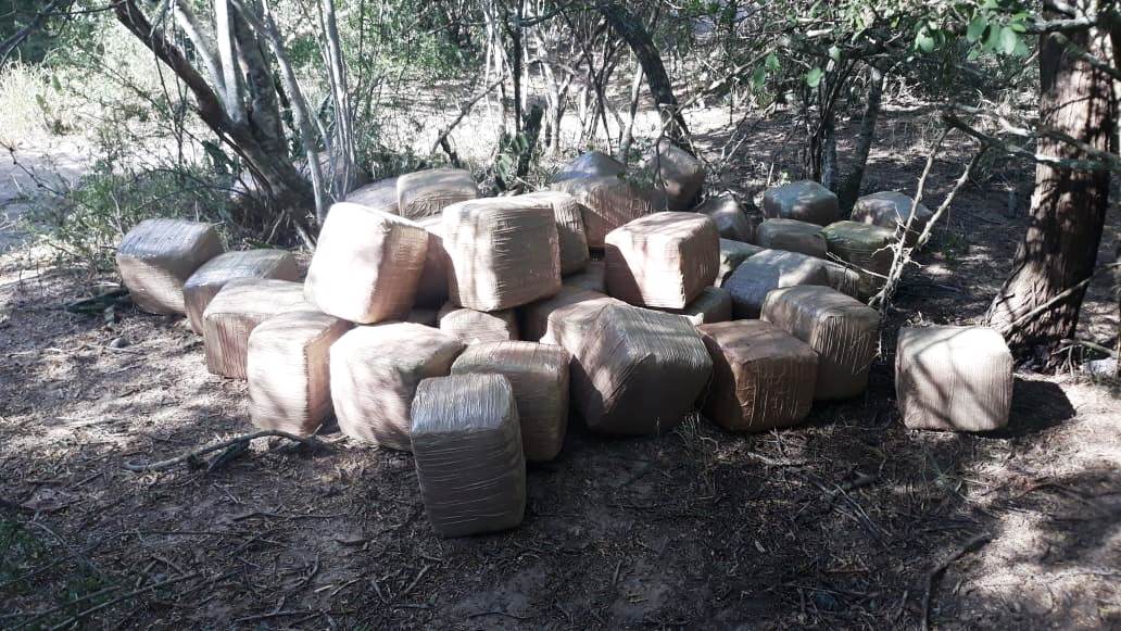 Aseguran en brecha de Matamoros 235 kilos de droga