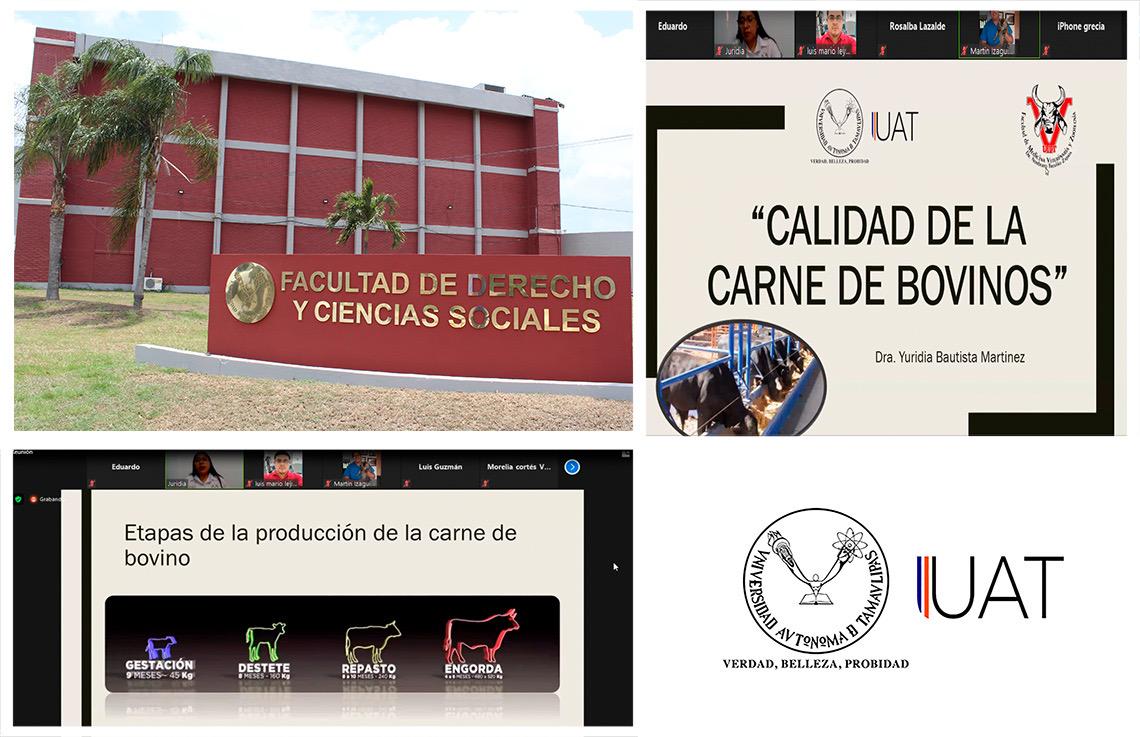 Influye estrés en la calidad de la carne de bovinos, asegura investigadora de la UAT