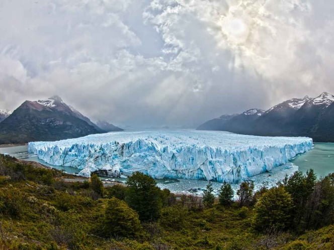 Iceberg amenaza flora y fauna de isla en Antártida