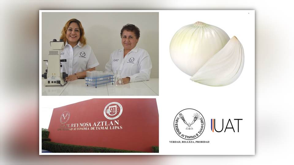 Investigadoras de la UAT inventan proceso para fabricar papel con cáscaras de cebolla y ajo