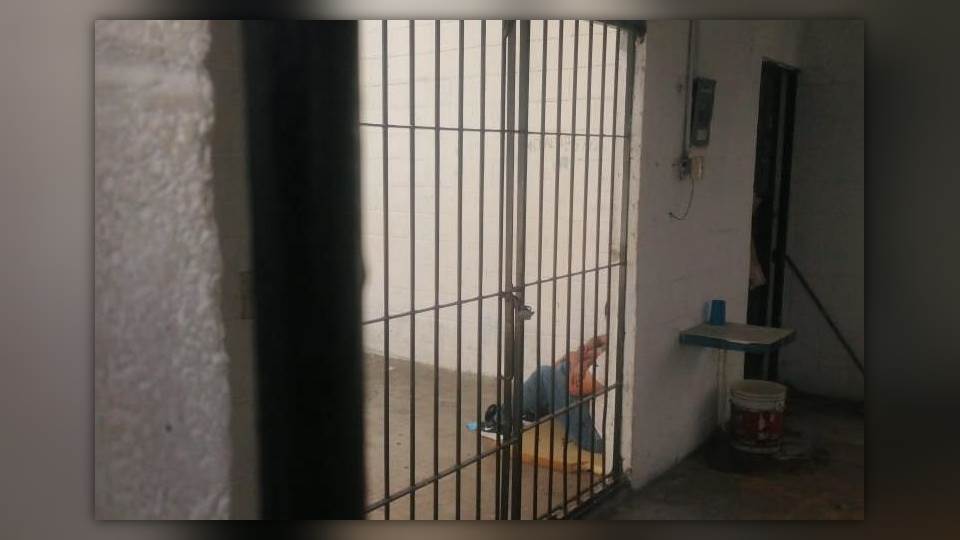 Vándalos causan destrozos a macetas y palmeras en camellón de Tampico; hay dos detenidos