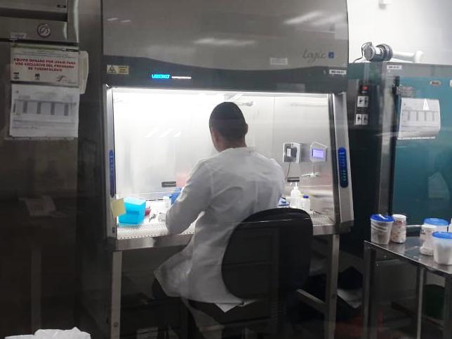 Confirman pruebas de laboratorio 143 nuevos contagios en las últimas 24 horas.