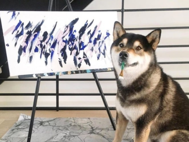 Perrito vende sus obras de arte y ya ha ganado 17 mil dólares