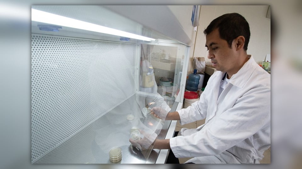 Premia UAT proyecto de biotecnología en manejo de plantas medicinales