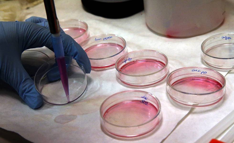 Avanza tecnología contra el cáncer