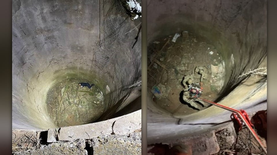 Indocumentada cae a pozo y es rescatada y detenida por CBP