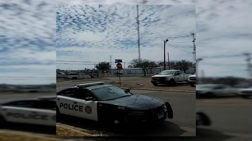 Daño en antena provoca desalojo de tiendas en Laredo