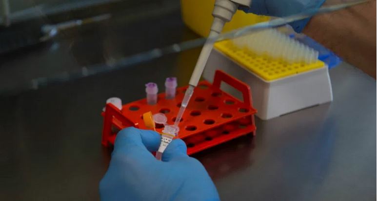 Descubren en Bélgica una posible nueva variante de COVID-19