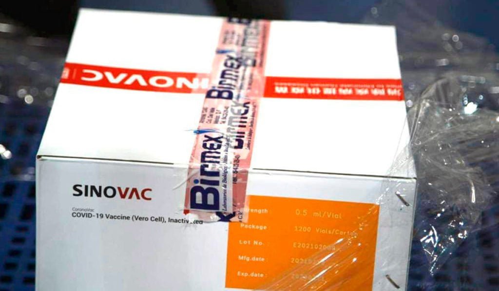 Vacunas Sinovac “descongeladas” siguen en análisis; Podrían aplicarse en Tamaulipas