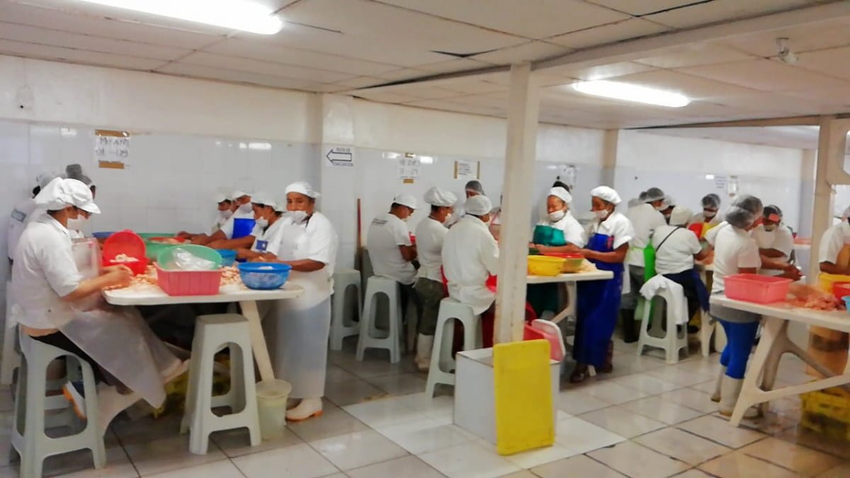 Detectan cuatro casos de Hepatitis en despicadoras; ya están en tratamiento