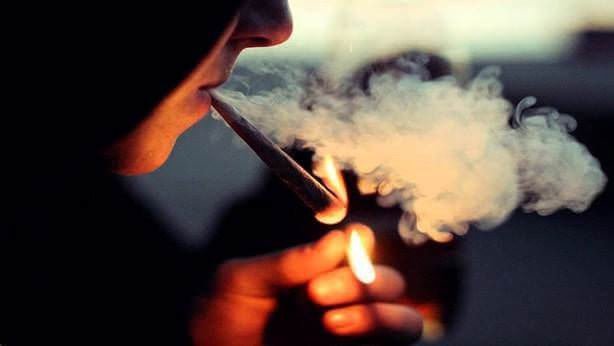 Diputados aprueban en lo general y en lo particular Ley Federal para Regulación del Cannabis, regresa al Senado