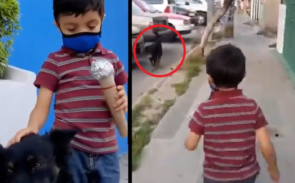 Niño entrevista a perros callejeros para promover adopción