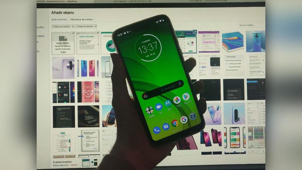 ¿Cómo recuperar fotos eliminadas de tu celular?