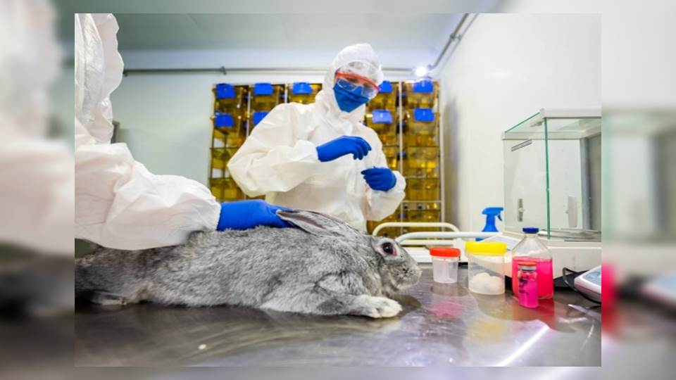 Rusia aprueba la Carnivac-Cov, la primera vacuna covid para animales