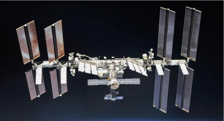 Descubren tres nuevas cepas de bacterias en la Estación Espacial Internacional