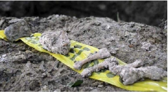 Encuentran en fosa clandestina 22 cuerpos en Guanajuato