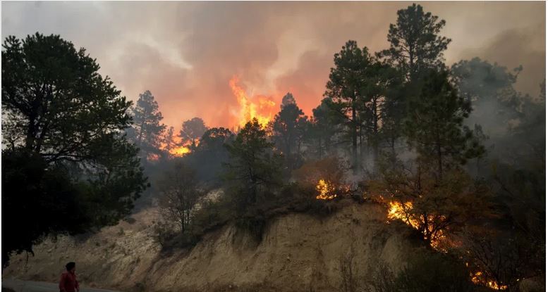 Declaran emergencia en Coahuila por incendio en Sierra de Arteaga; suman 4 mil hectáreas afectadas