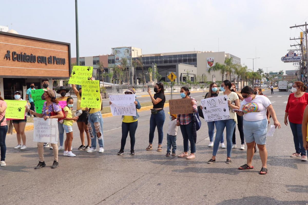 Animalistas bloquean avenida en Madero, denuncian caso de canibalismo entre perros