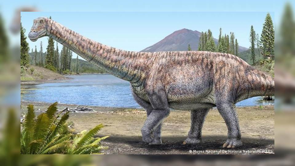 Descubren dinosaurio de más de 6 metros de largo en Chile