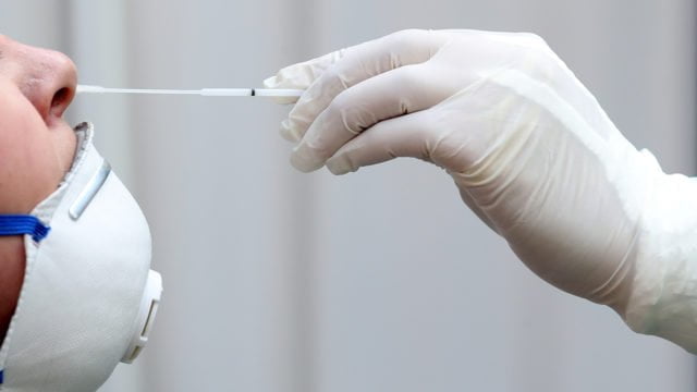 Anticuerpos contra COVID-19 duran al menos 8 meses en la mayoría de los casos